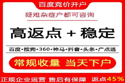 sem代运营机构成功案例：打造高效广告投放策略
